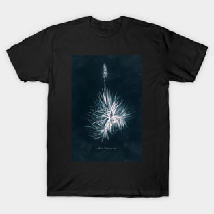 Cyanotype - Aloe Socotrina T-Shirt